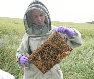 Beekeeping Experience | Honey gifts and bee experience