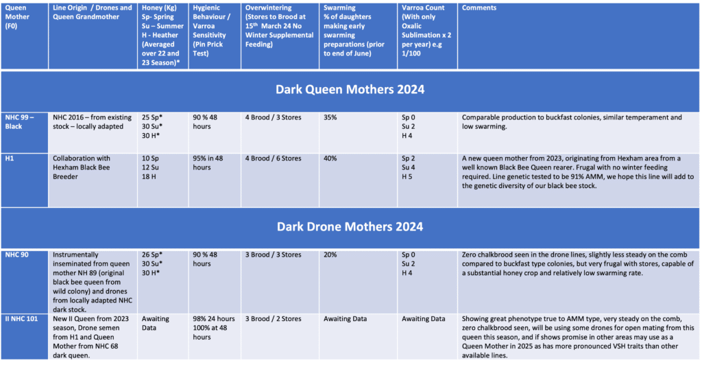 Dark Queen Mother and Drone Line 2024