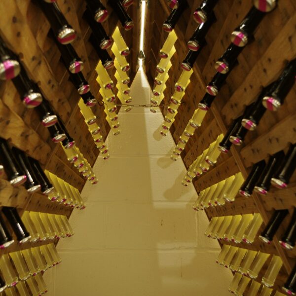 Meadery | Sparkling Mead bottles riddling