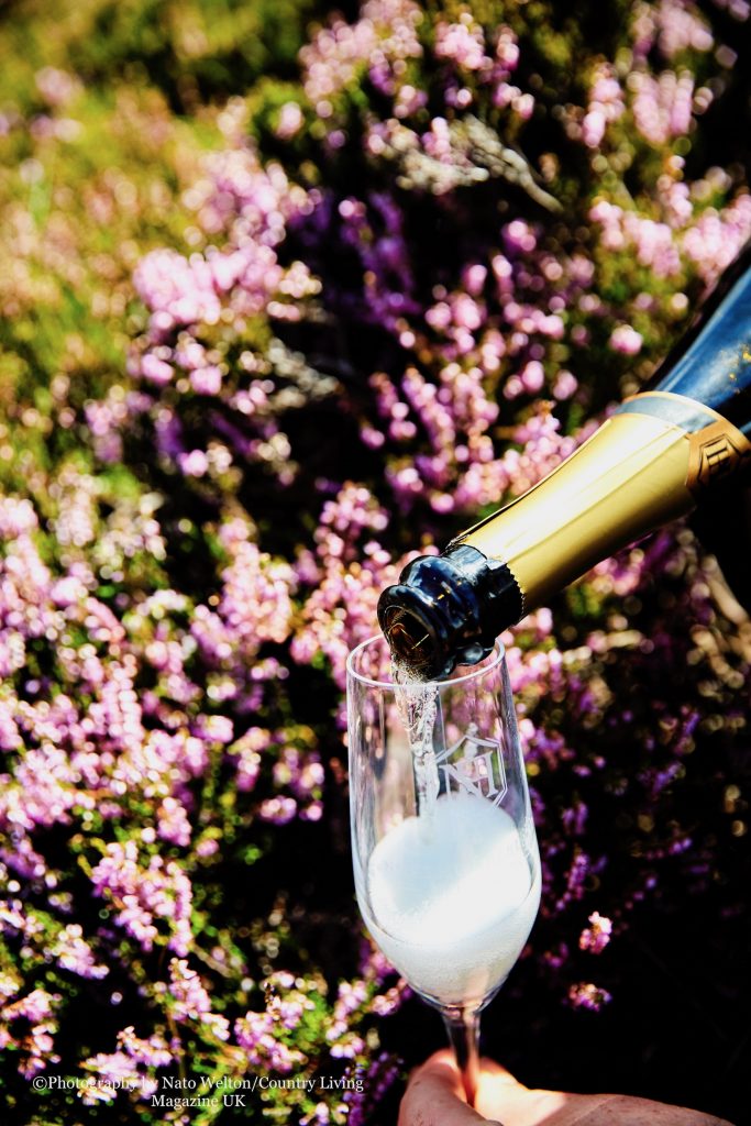 Sparkling Mead | Northumberland Honey Company | Meadery