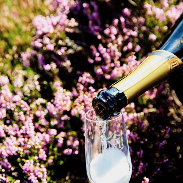 Sparkling Mead | Northumberland Honey Company | Meadery