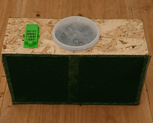 Package Bees For Sale